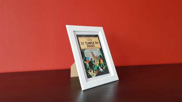Tintin Comics Frames